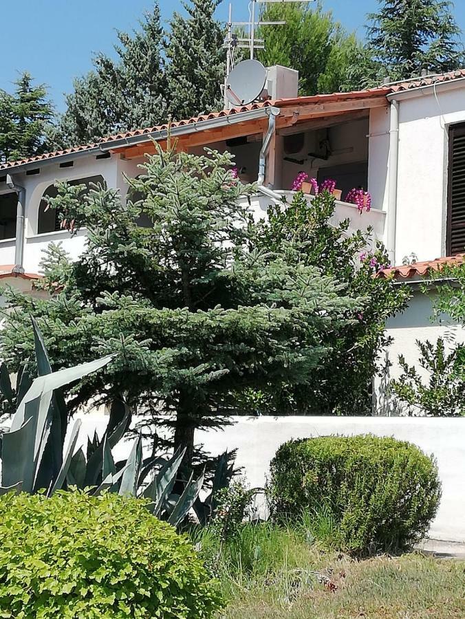 Apartment Enis บาร์บารีกา ภายนอก รูปภาพ